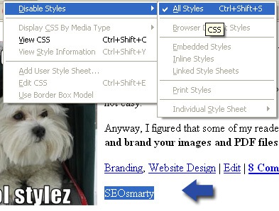 Disable CSS: hidden links