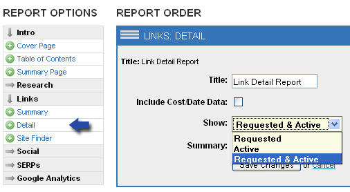 Link building report template
