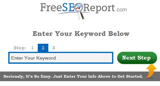 Free SEO report