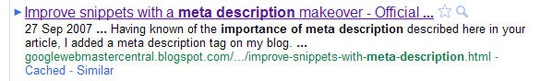 Google search result for “importance of meta description”
