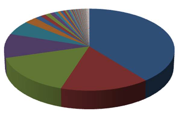 Penguin-affected-site%E2%80%99s-inbound-link-profile.jpg