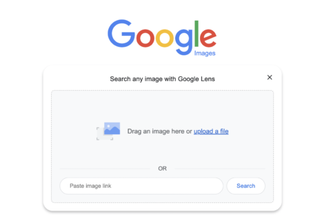Поисковая система изображений Google 