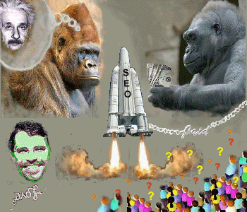 SEORocketPaidGorillaMattCrowdEinstein