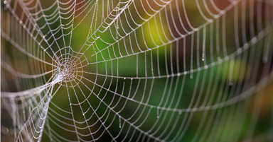 What’s the Real Benefit from Google Sitelinks?