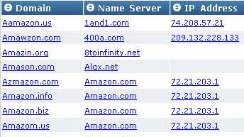 Domain Typo generator: DNS view