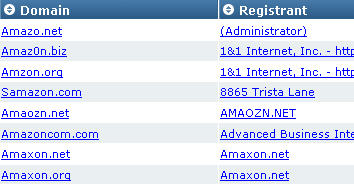 Domain Typo generator: registrant view