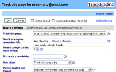 FireFox Extensions to Learn Domain IP Address