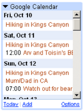 Google Calendar Gadget
