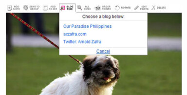 Flickr Rolls Out Twitter Integration Feature