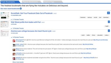 Another Google Chrome OS Screenshot Shows Up, This Time it’s Ugly