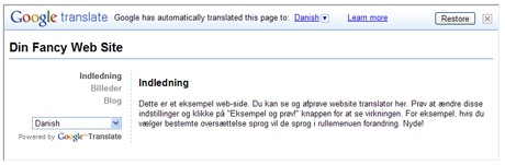Learning the lingo: Here's how Google Translate