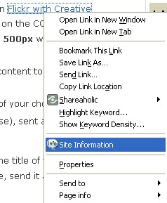 Site Information Plugin : More SEO Options on Right-Click
