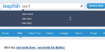 Leapfish: related searches and search suggestions