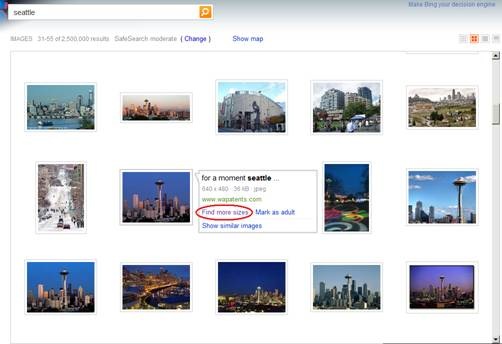 Bing Adds More Sizes Option to Image Search
