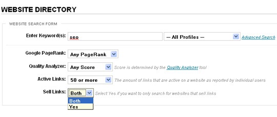 Websie directory - advanced search