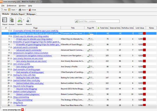 Websiet Auditor Report