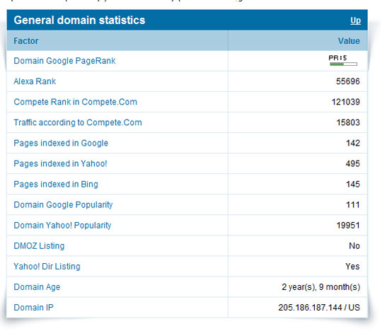 Website Auditor general domain information