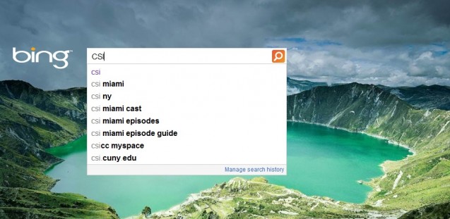 Bing Adaptive Search