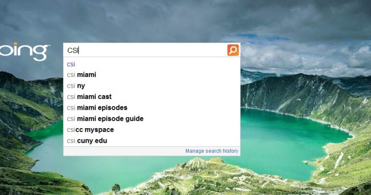 Microsoft Bing Adaptive Search: Is Bing Adapting to the Competitive Landscape?