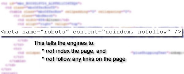 Two Examples of How One Line of Code Could Kill Your SEO [Case Studies]