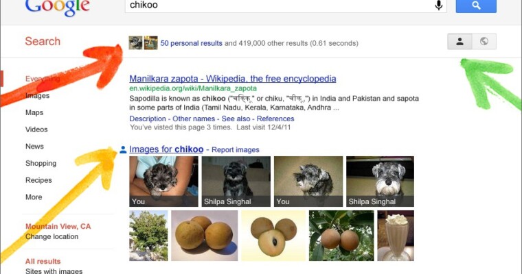 The EPIC Complaint Against Google’s New Search Plus
