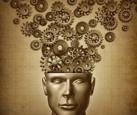 Social Media and the Millennial Brain