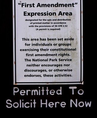 Search Engine Results Protected by First Amendment