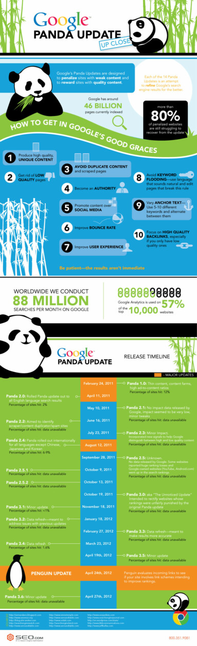 Google Panda Update Tips and Timeline [Infographic]