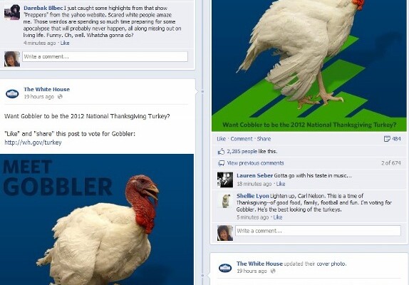 Facebook Fans Await Outcome of Thanksgiving Decision 2012
