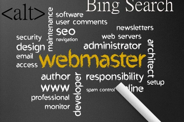 Bing Webmaster Guidelines and the Import of Script