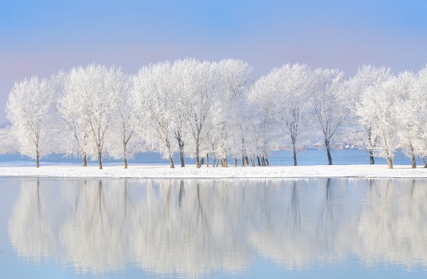 Winter lake