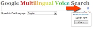 Use Your Voice to Search with Google Multilingual Voice Search