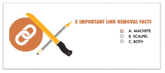 5 important link removal facts