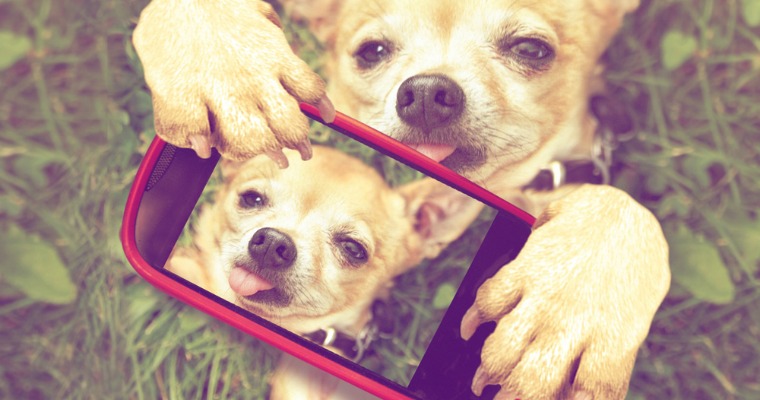 The 5-Minute-A-Day Instagram Marketing Plan