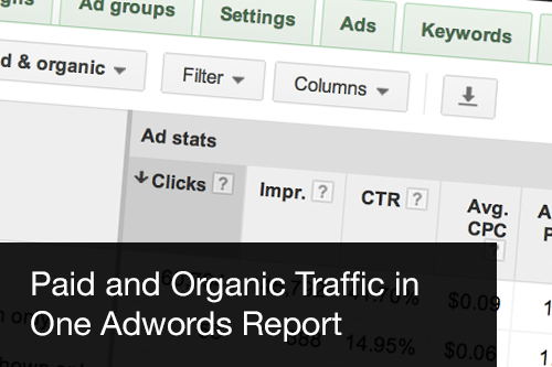 Paid and ogranic traffic in Adrwords report