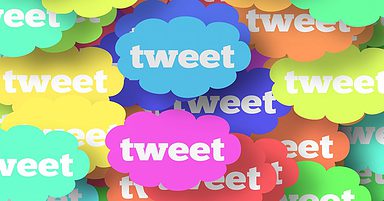 Webmaster Central Live Site Reviews