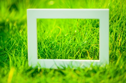 White Frame on Green Grass