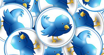 7 Useful WordPress Twitter Plugins