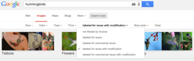Google Image Search Now Lets You Find Images By Usage Rights