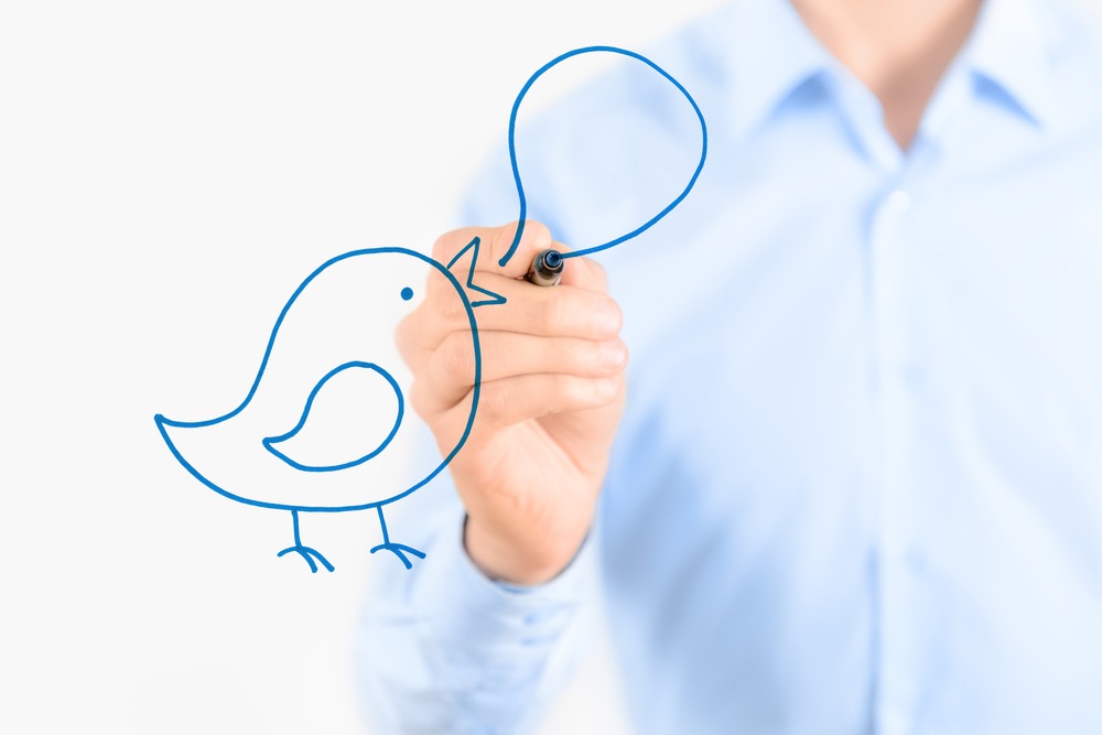 Pinterest Versus Twitter: Which Should My Business Use?