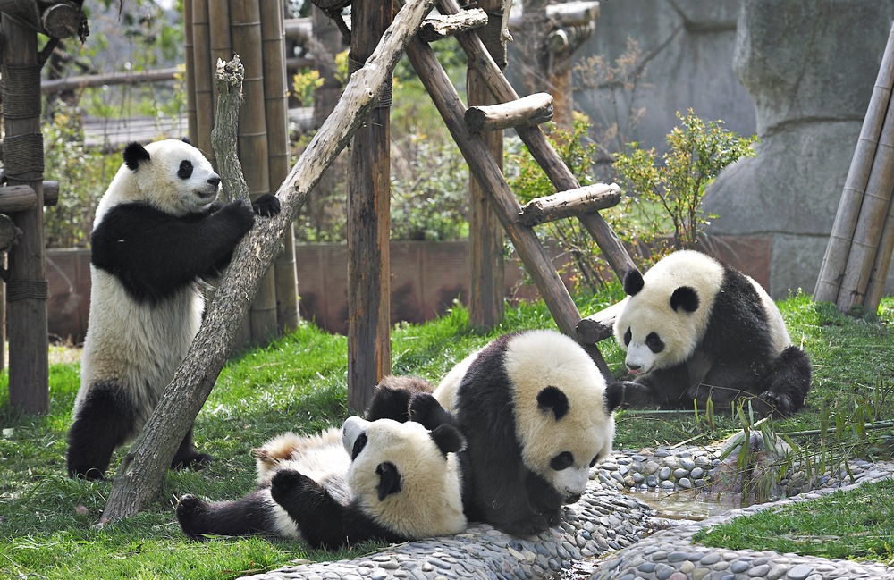 what the experts say about panda 4.0 and other google updates