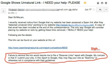 LinkPatrol Update: Top-Requested Feature Added, First Reviews are In