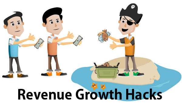 Revenue Growth Hacks