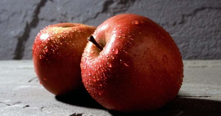 Apple Starts Crawling Web – Is Apple Launching a Search Engine in 2015?