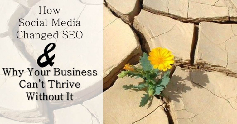 How Social Media Changed SEO And Why Your Business Can’t Thrive Without It