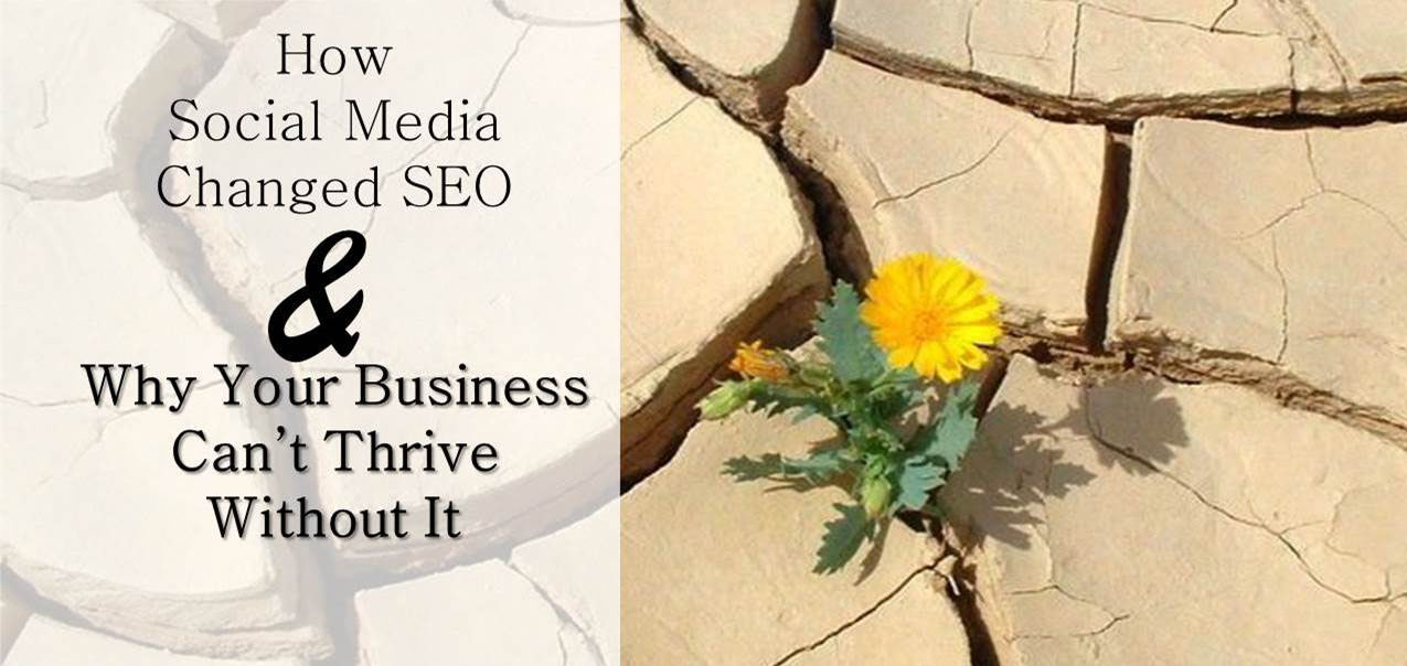 How Social Media Changed SEO And Why Your Business Can’t Thrive Without It