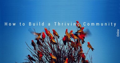 How to Build a Thriving Online Community