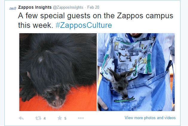 Zappos