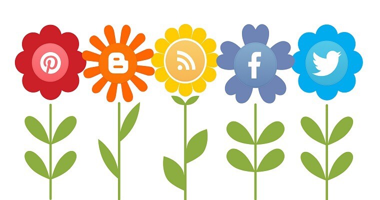 Social Media 101: How to Create Engaging Content