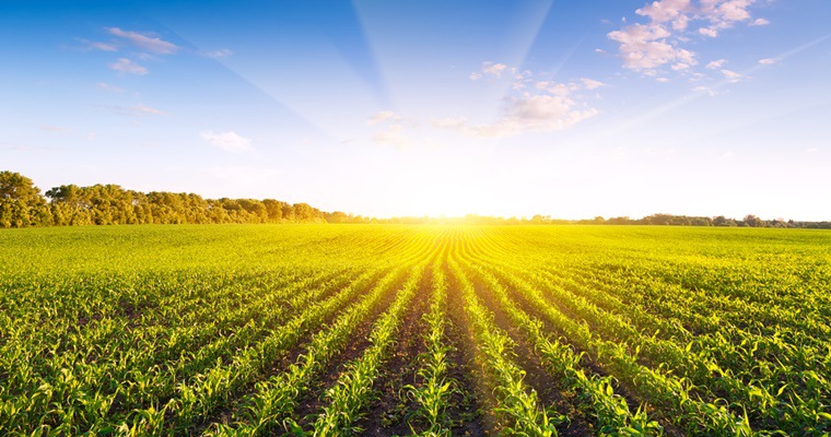 Why Content Isn’t a Commodity Anymore